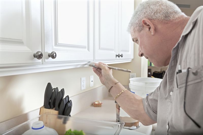 Expert preparing cabinets